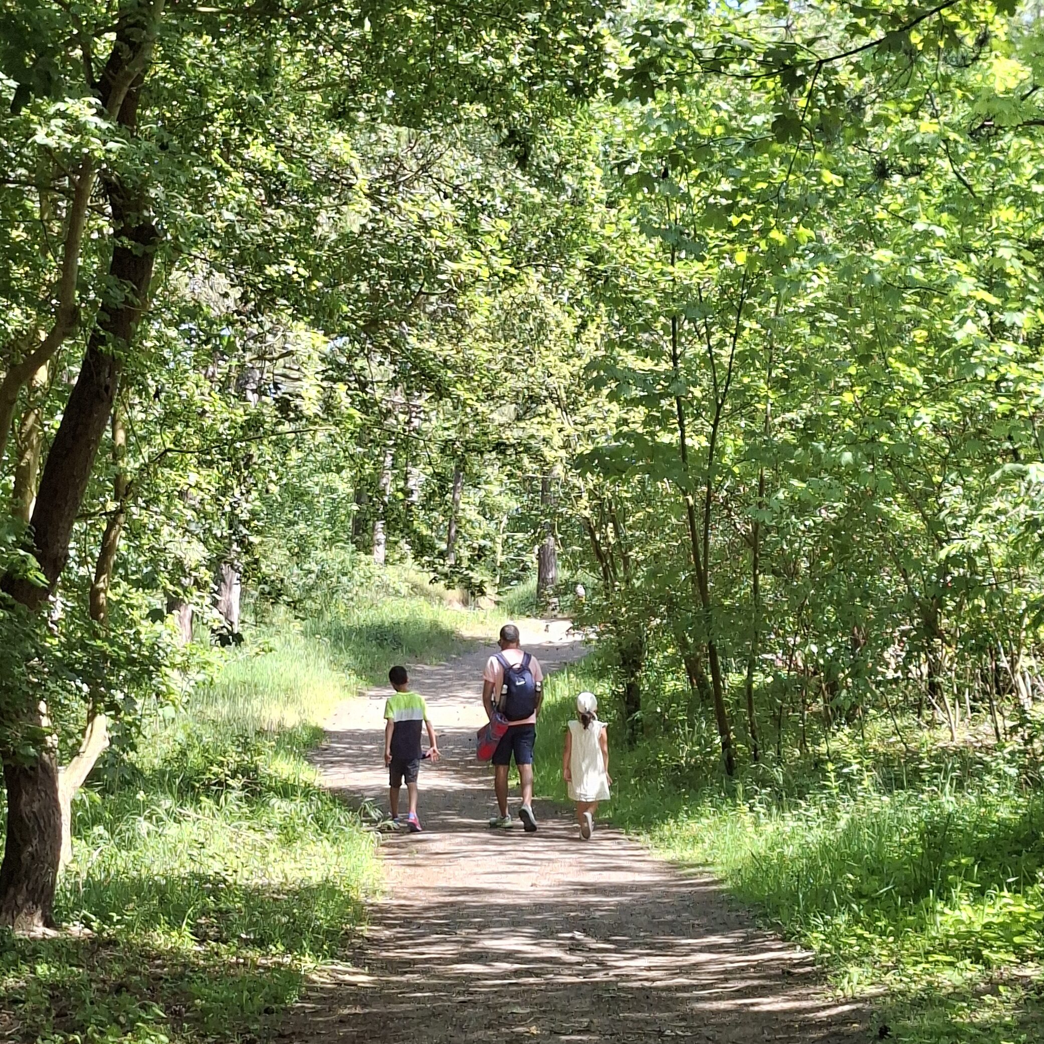 Man and two kids walking in the forest